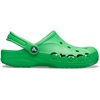 Crocs Jibbitz 5-Pack Trendy Shoe Charms | Jibbitz for Crocs(Grass Green)