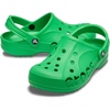 Crocs Jibbitz 5-Pack Trendy Shoe Charms | Jibbitz for Crocs(Grass Green)