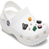 Crocs Jibbitz 5-Pack Trendy Shoe Charms | Jibbitz for Crocs(Tiny Nature)