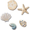 Gold Seashells