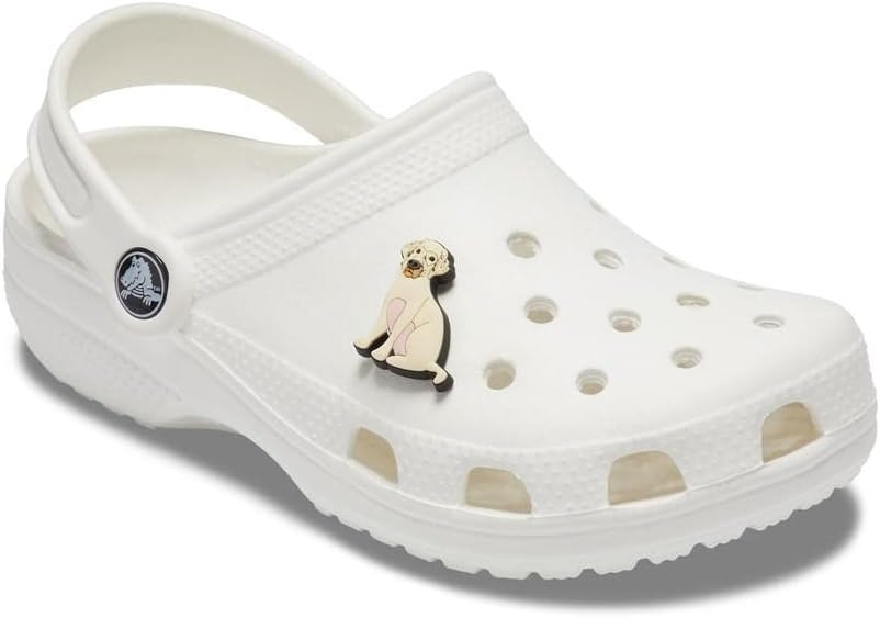 image:imageCrocs Jibbitz Girls Favorites Shoe CharmsYellow Lab